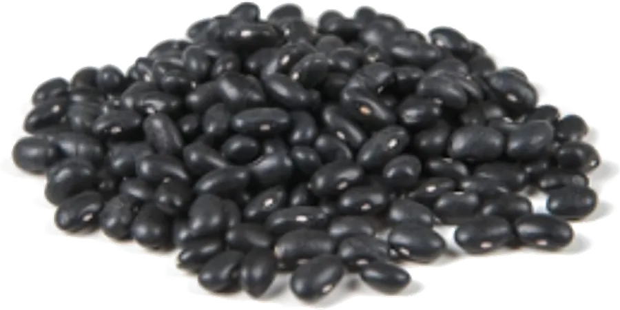 Black Beans supplied in bulk by Your Best Solution