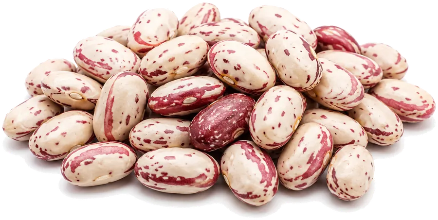 Cranberry Beans supplied in bulk by Your Best Solution