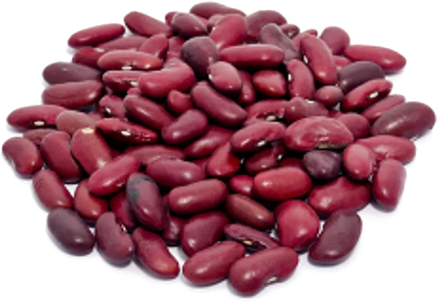 Kidney Beans (Dark Red) supplied in bulk by Your Best Solution