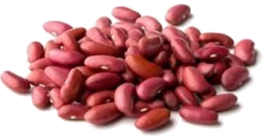 Kidney Beans (Light Red) supplied in bulk by Your Best Solution