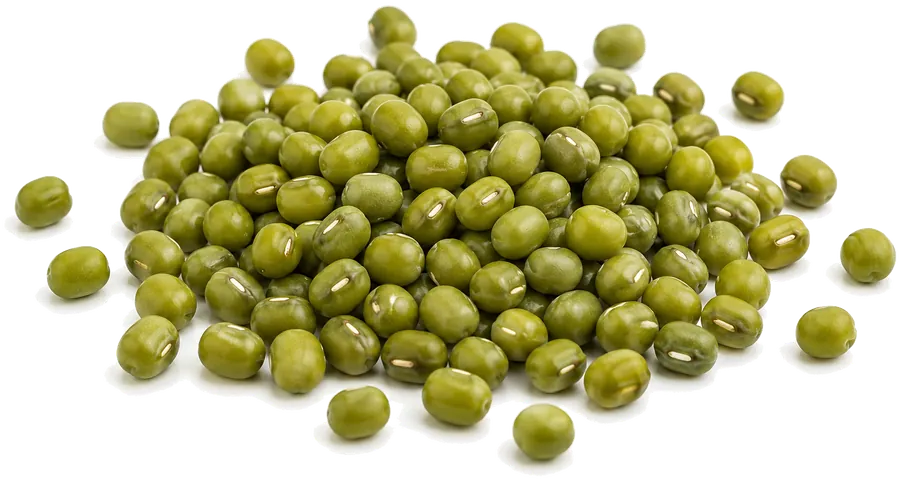 Mung Beans supplied in bulk by Your Best Solution