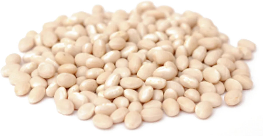Navy Beans supplied in bulk by Your Best Solution