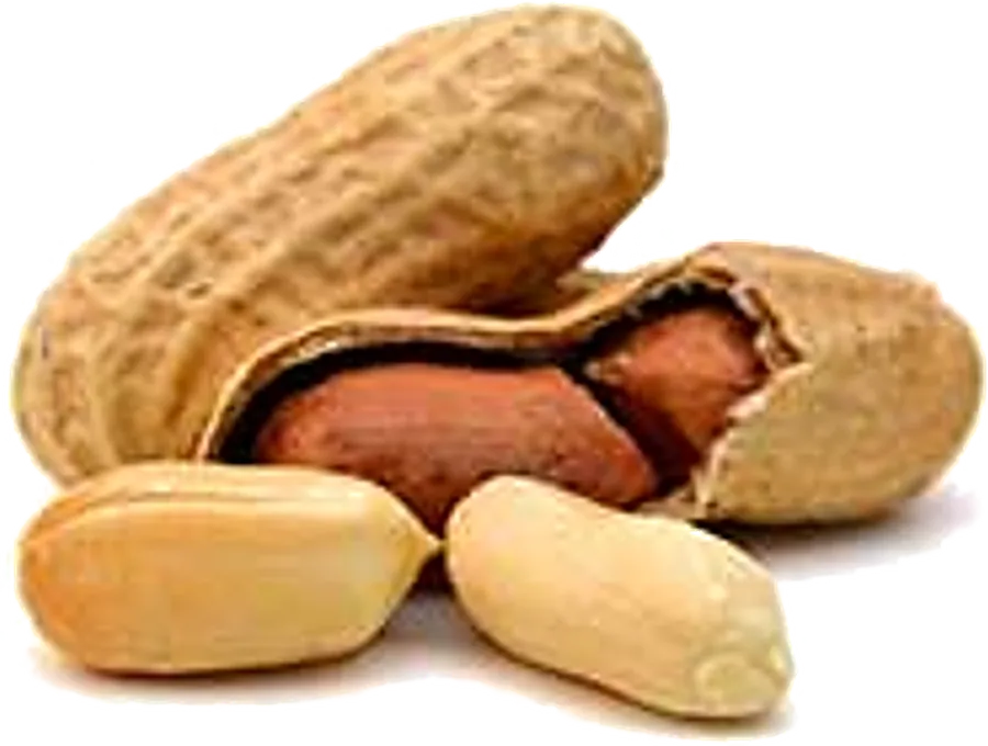Peanuts supplied in bulk by Your Best Solution