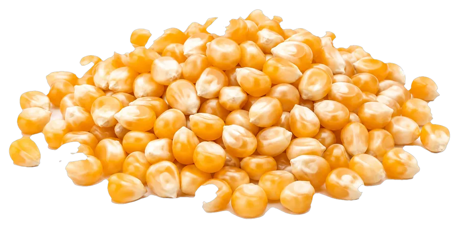 Pop Corn supplied in bulk by Your Best Solution