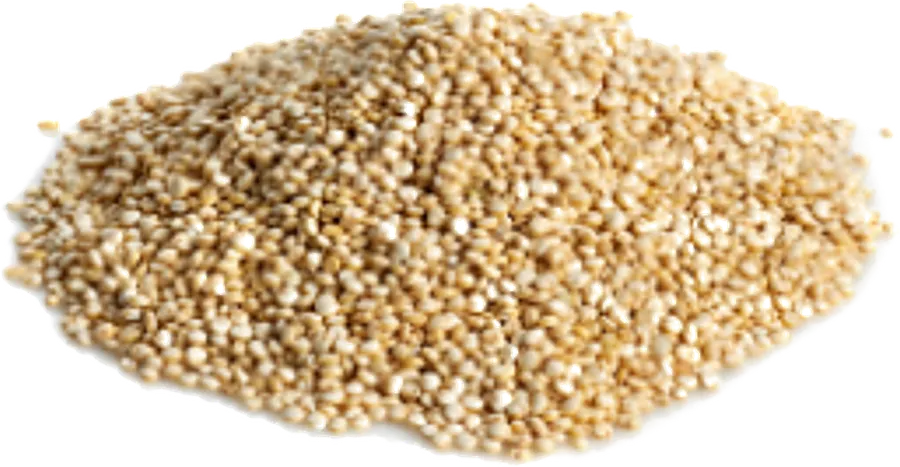 Quinoa supplied in bulk by Your Best Solution