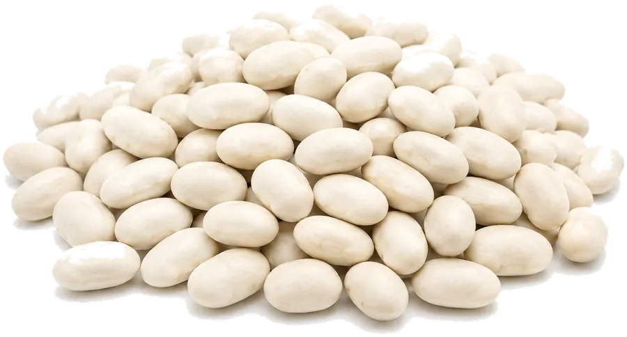 White Round Beans supplied in bulk by Your Best Solution