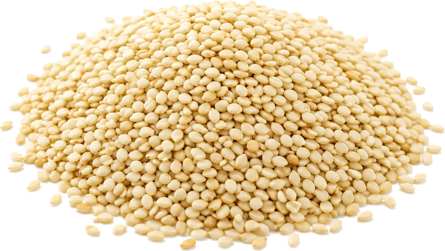 Sesame Seed supplied in bulk by Your Best Solution