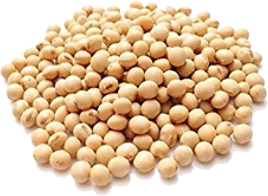Soy Bean supplied in bulk by Your Best Solution